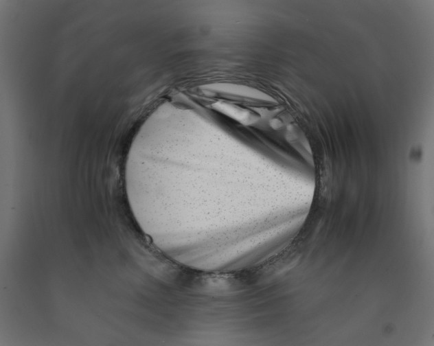 X0000090880618200708241942