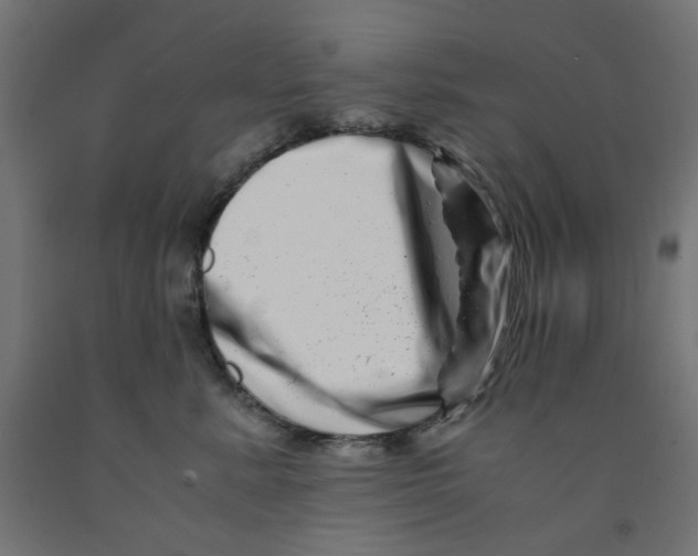 X0000090880619200708241942