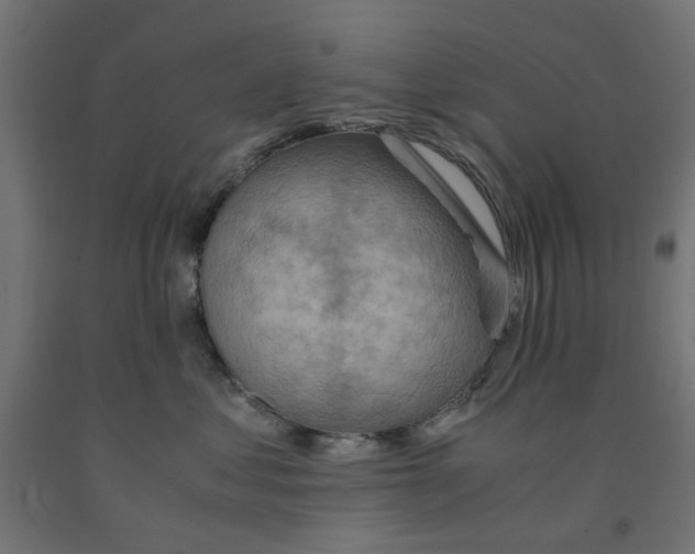 X0000090880621200708241942