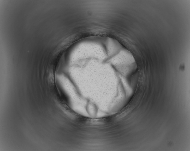 X0000090880622200708241942