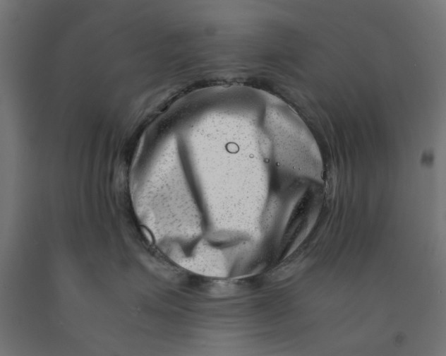 X0000090880623200708241942