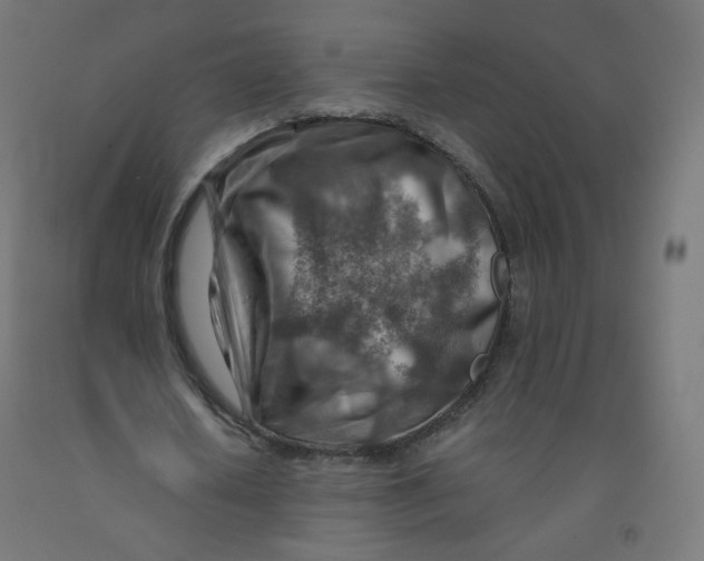 X0000090880626200708241941