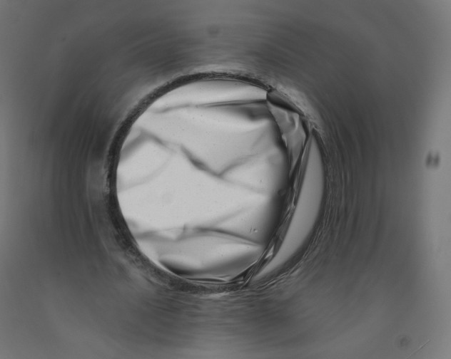 X0000090880628200708241941