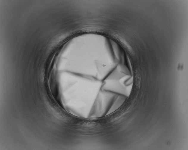 X0000090880631200708241941