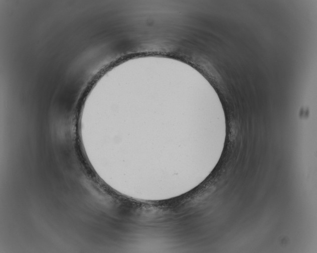 X0000090880632200708241941