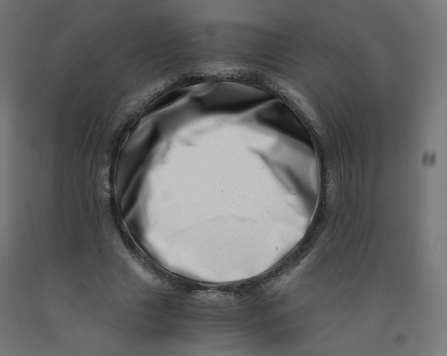 X0000090880633200708241941