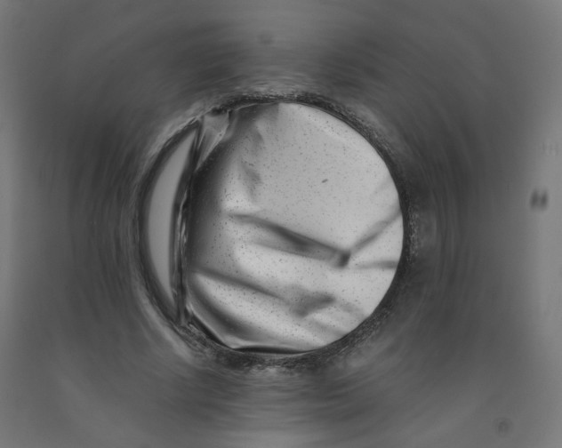 X0000090880634200708241941