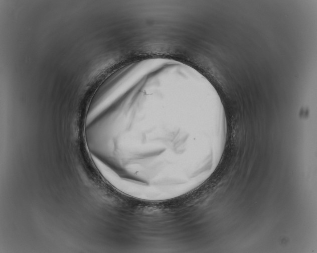 X0000090880635200708241941