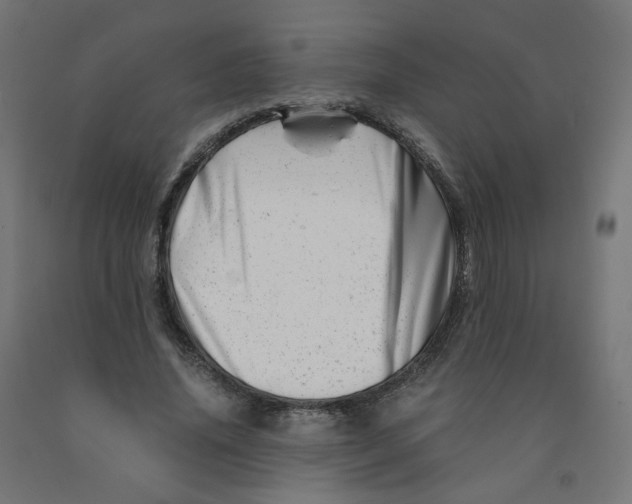 X0000090880636200708241941