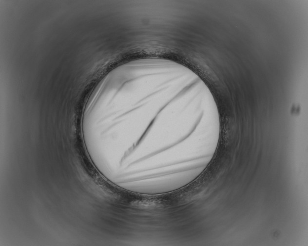 X0000090880639200708241941