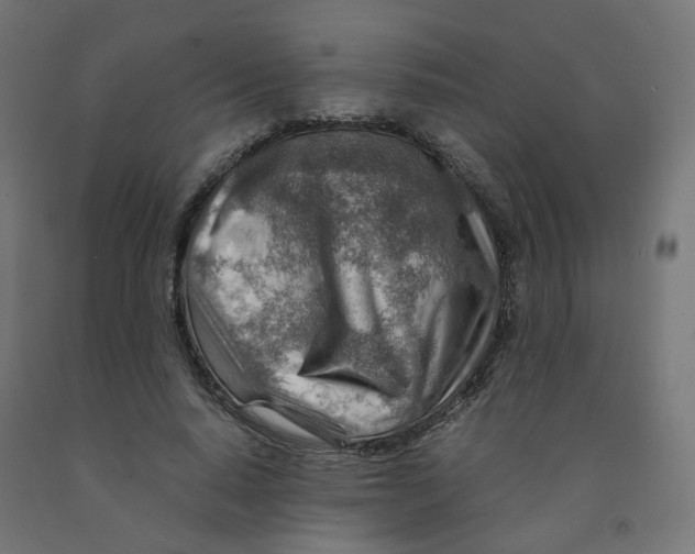 X0000090880640200708241941