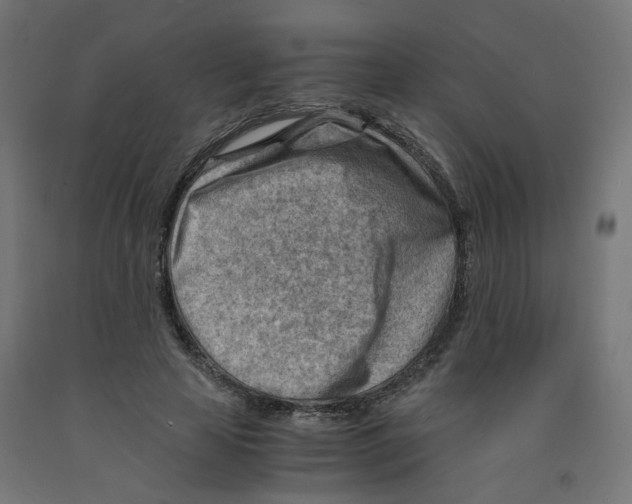 X0000090880641200708241941