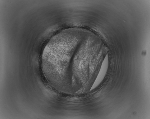 X0000090880643200708241941