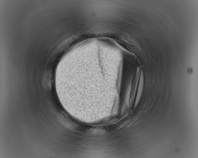 X0000090880644200708241941