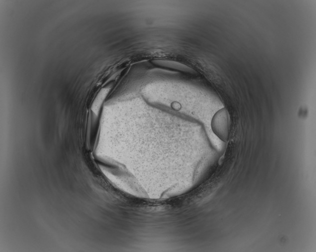 X0000090880646200708241941