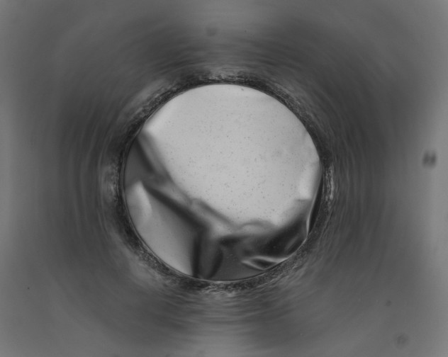 X0000090880648200708241941