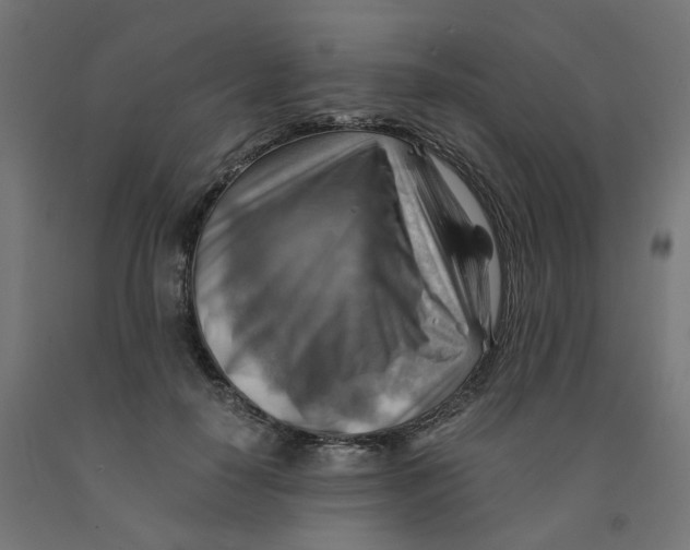 X0000090880650200708241941