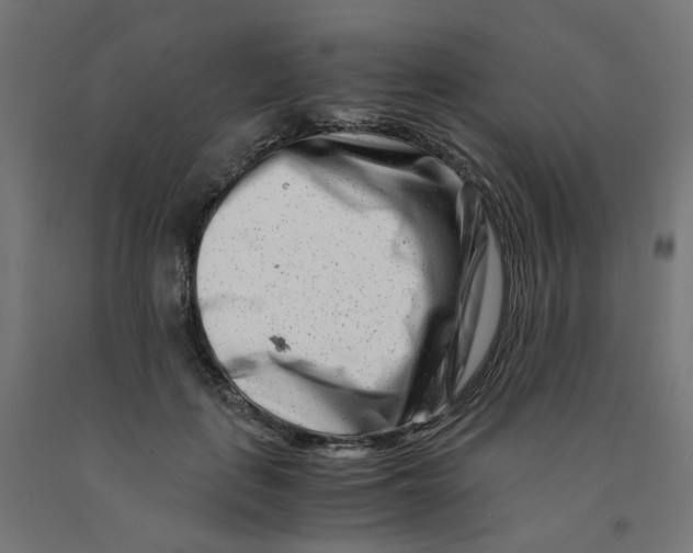 X0000090880651200708241941