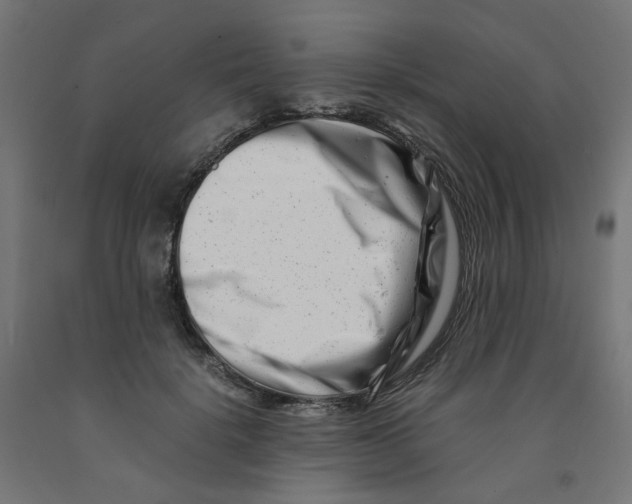 X0000090880652200708241941