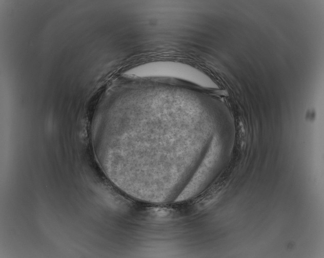 X0000090880654200708241941