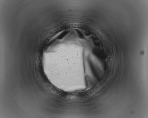 X0000090880655200708241941