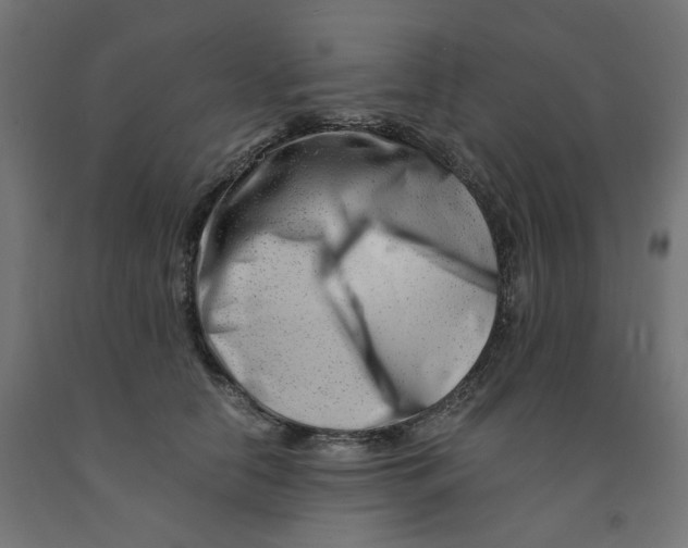 X0000090880658200708241941