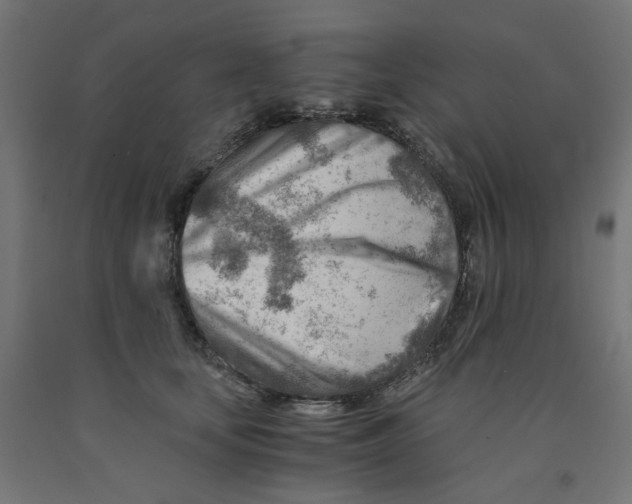 X0000090880659200708241941