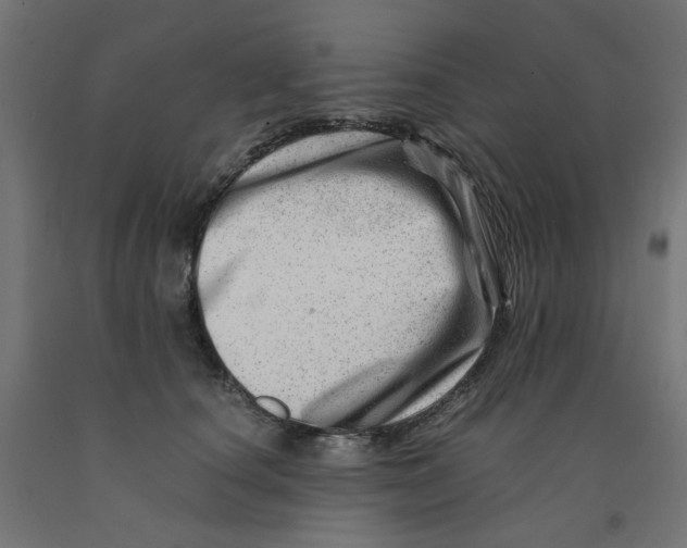 X0000090880660200708241941