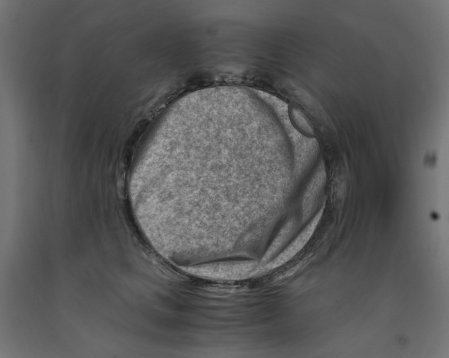 X0000090880661200708241941