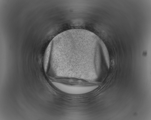 X0000090880662200708241942