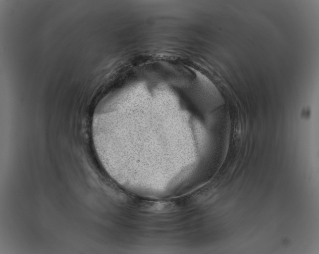 X0000090880663200708241942