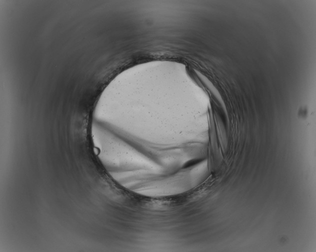 X0000090880664200708241942