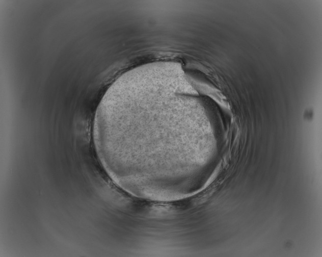 X0000090880666200708241942