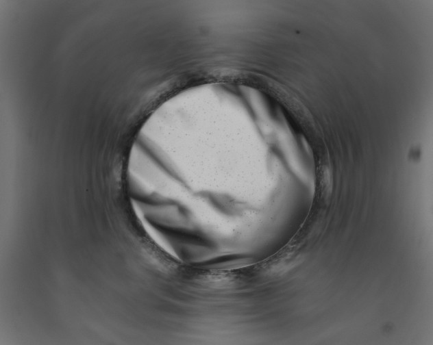 X0000090880668200708241942