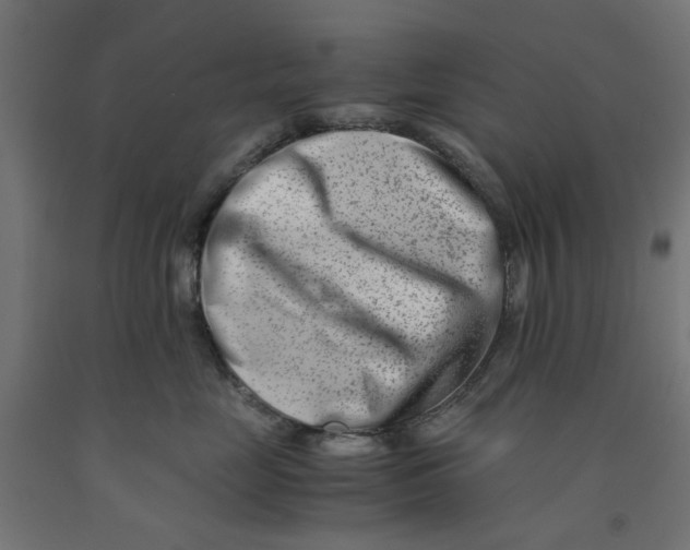 X0000090880669200708241942