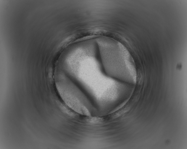 X0000090880670200708241942