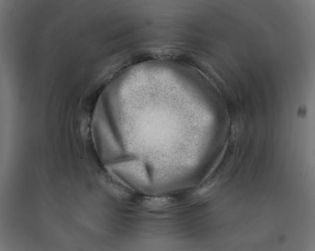 X0000090880671200708241942