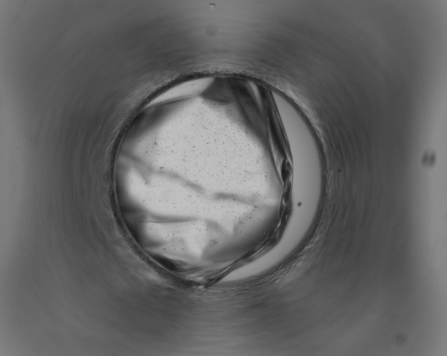 X0000090880673200708241941