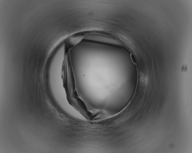 X0000090880676200708241941