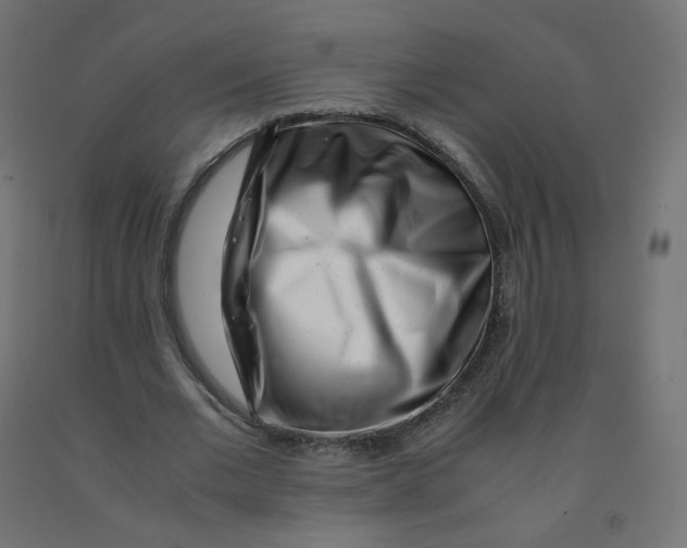 X0000090880677200708241941