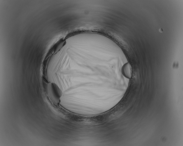 X0000090880678200708241941