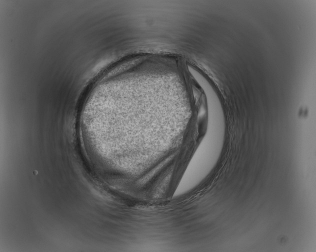 X0000090880679200708241941