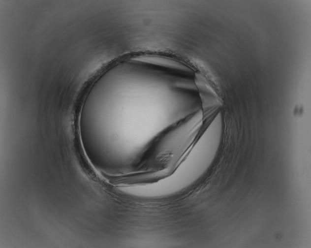 X0000090880680200708241941