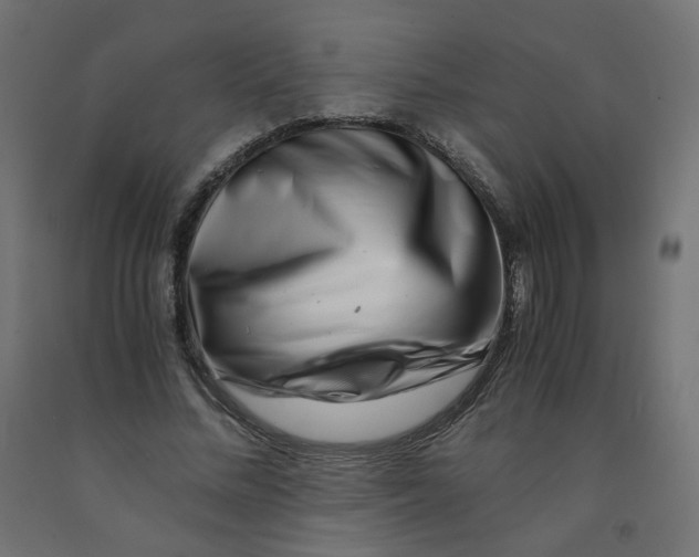 X0000090880684200708241941