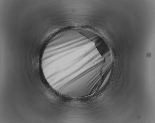 X0000090880685200708241941