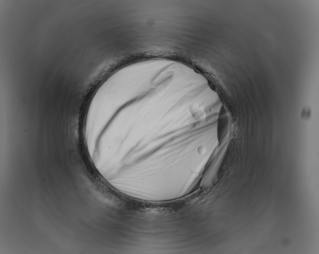 X0000090880686200708241941