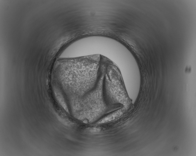 X0000090880687200708241941