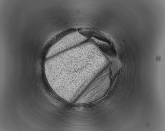 X0000090880688200708241941