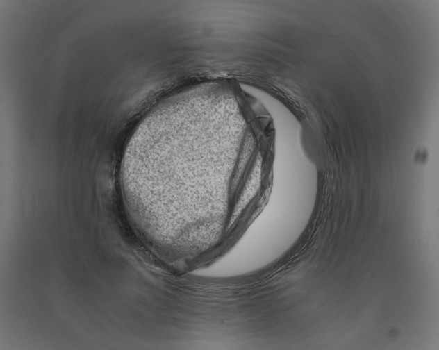 X0000090880691200708241941