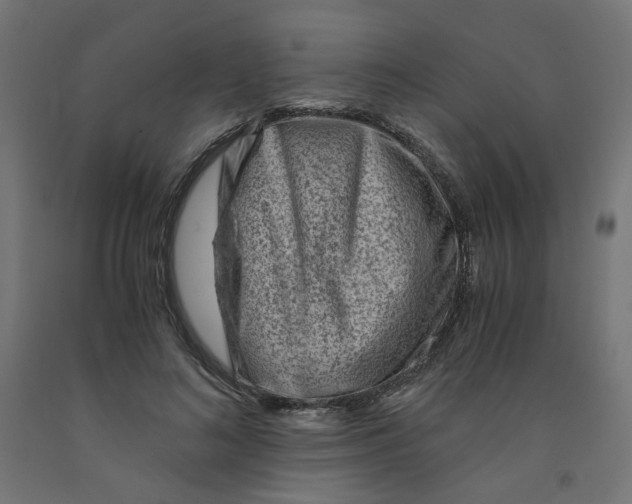 X0000090880692200708241941